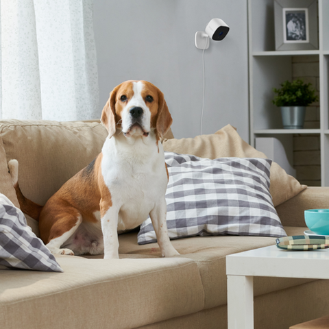 EVO​ 2K Indoor Wi-Fi Camera​ | SWIFI-SE2KIC