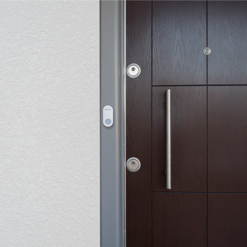 Alpha Series Motion Button - SWALPH-BUTTON